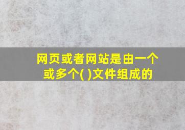 网页或者网站是由一个或多个( )文件组成的